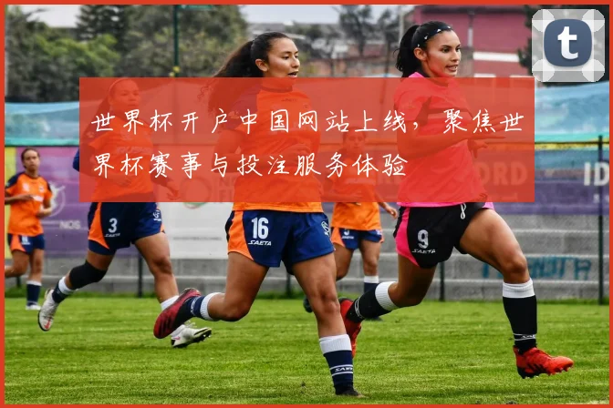 世界杯开户中国网站上线,聚焦世界杯赛事与投注服务体验