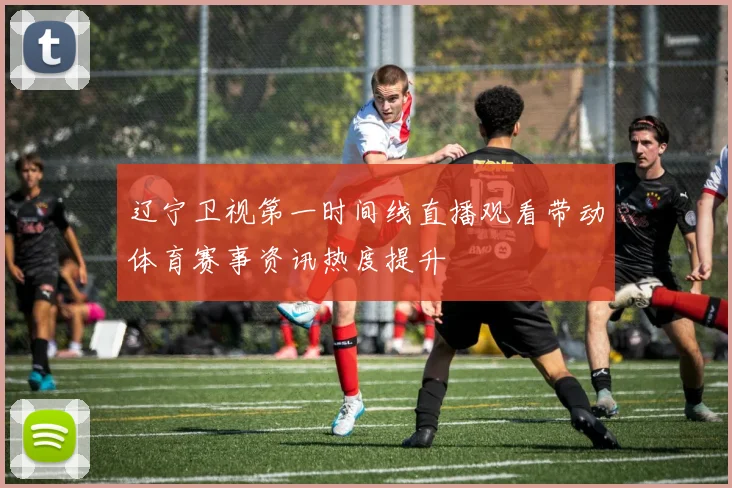 辽宁卫视第一时间线直播观看带动体育赛事资讯热度提升