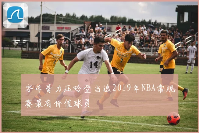 字母哥力压哈登当选2019年NBA常规赛最有价值球员