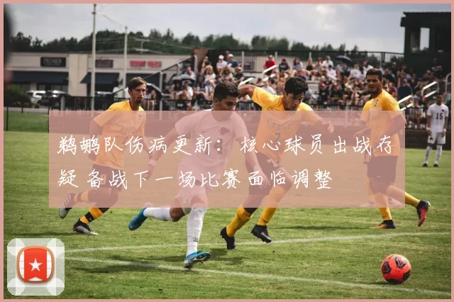 鹈鹕队伤病更新：核心球员出战存疑 备战下一场比赛面临调整