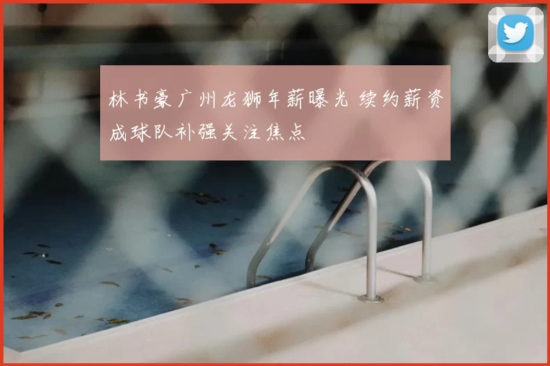林书豪广州龙狮年薪曝光 续约薪资成球队补强关注焦点
