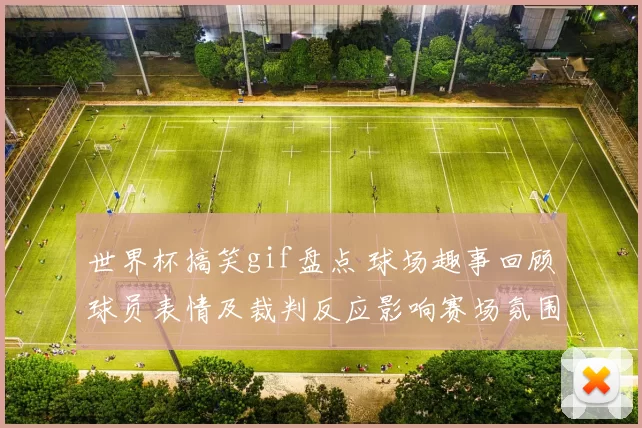 世界杯搞笑gif盘点 球场趣事回顾球员表情及裁判反应影响赛场氛围