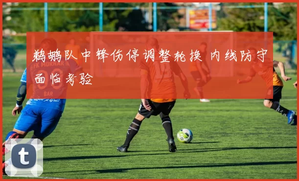鹈鹕队中锋伤停调整轮换 内线防守面临考验