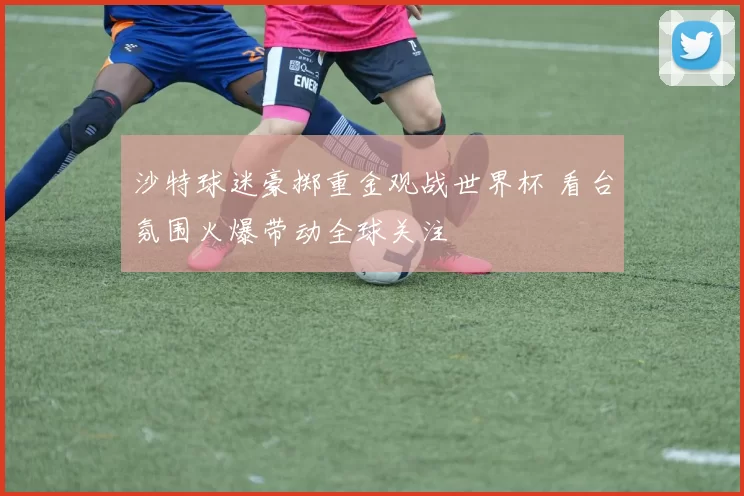 沙特球迷豪掷重金观战世界杯 看台氛围火爆带动全球关注